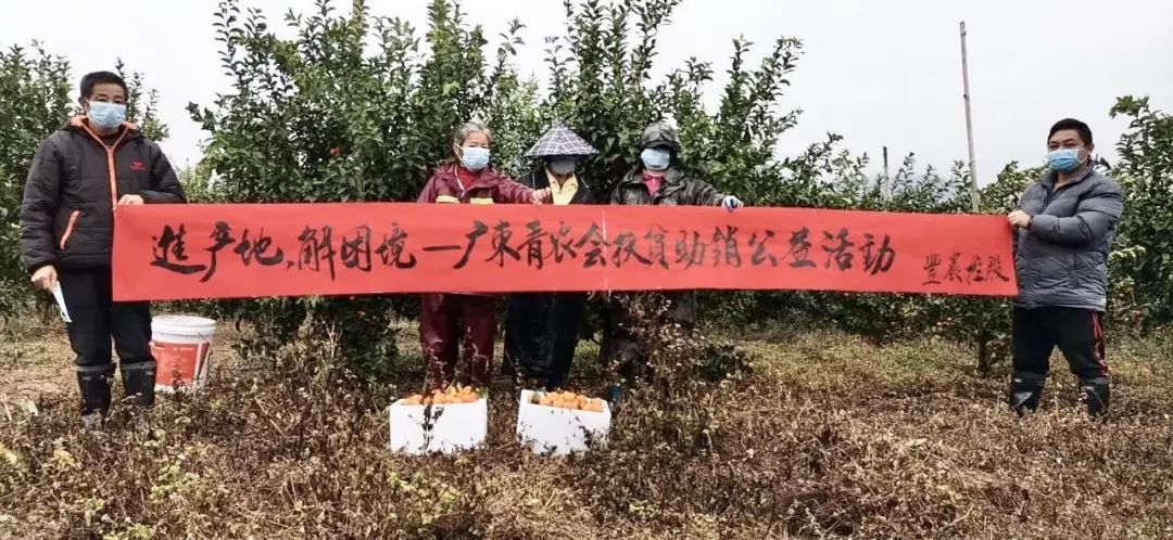 a7b6a5b888db6c030dafc03152d69771