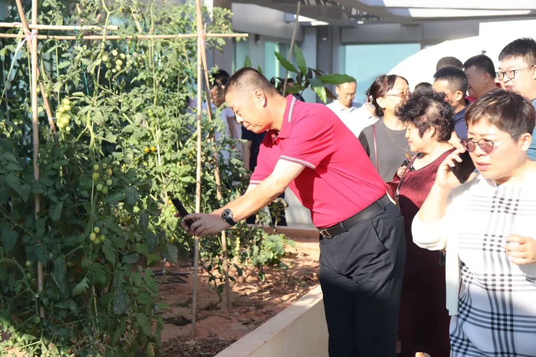 da31e414348e733535e86376a5a08563