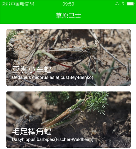 e2e8109e744f15ad30ea152d568b4cf0