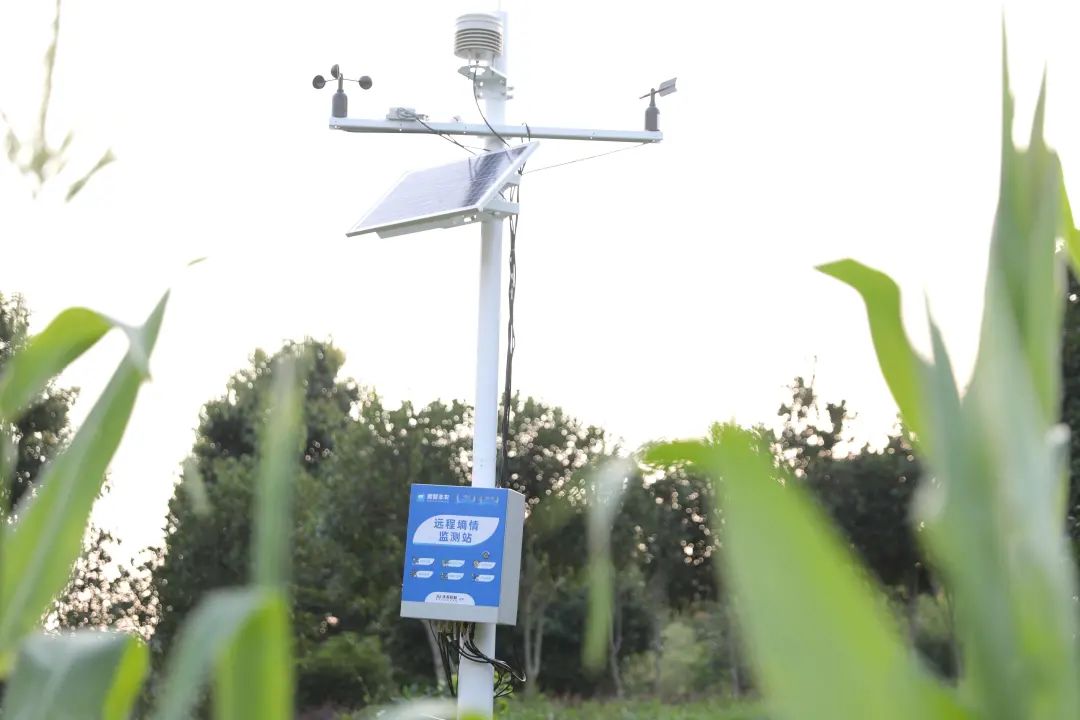 01e85bd89d5ed2187474f67af71eb3eb