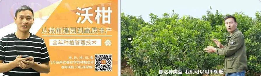 08bbe48089834d7ae82e4cbe13aa92a8