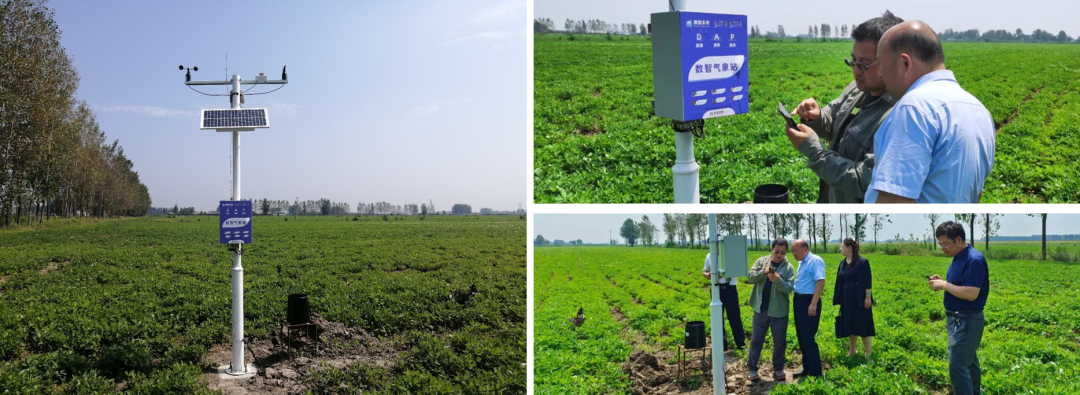 3dceaf54e399cbc1e366a10a1c499b1d