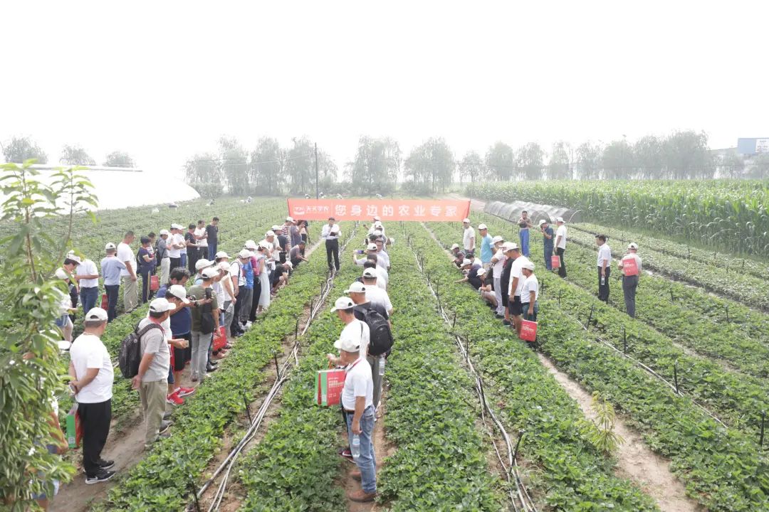 6d674f4c958aece1629bae8aaca45d7c