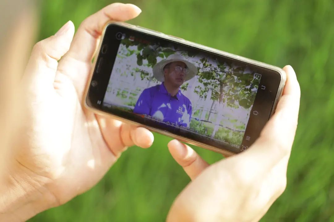 b1aa3e15f6d1f9d8b352797e58835325