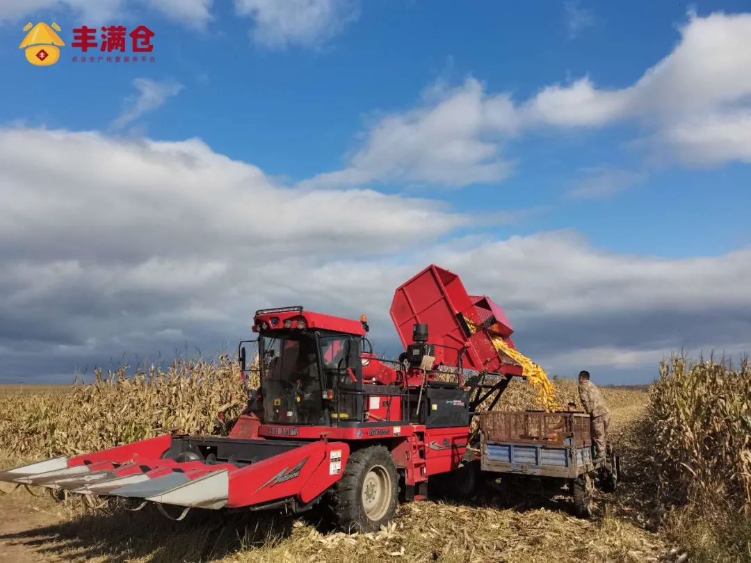 0acc9d1ee5012d4c67a7f5b3f4aee59c