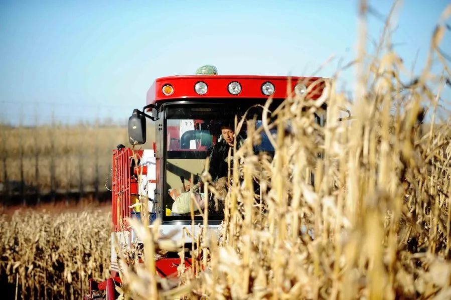 33197cba6c2ed01624978345c0811109