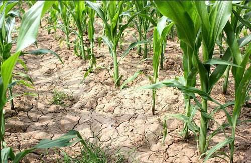 51b995c509629eb79e463ab4e248c448