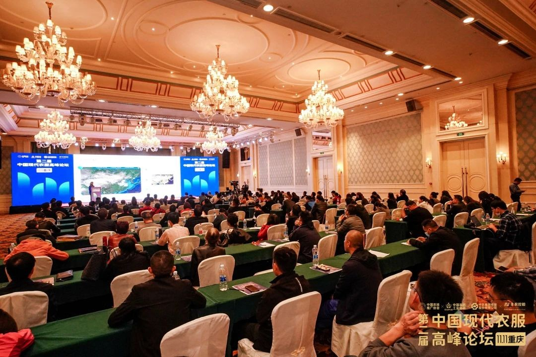 ce3072373b92661f7711f7a8c56fa02b