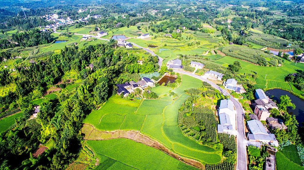 ffd2e0511522659588a4aeba3d5d898c