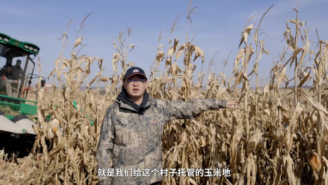 068d69777251e0f61a88a560f7942103