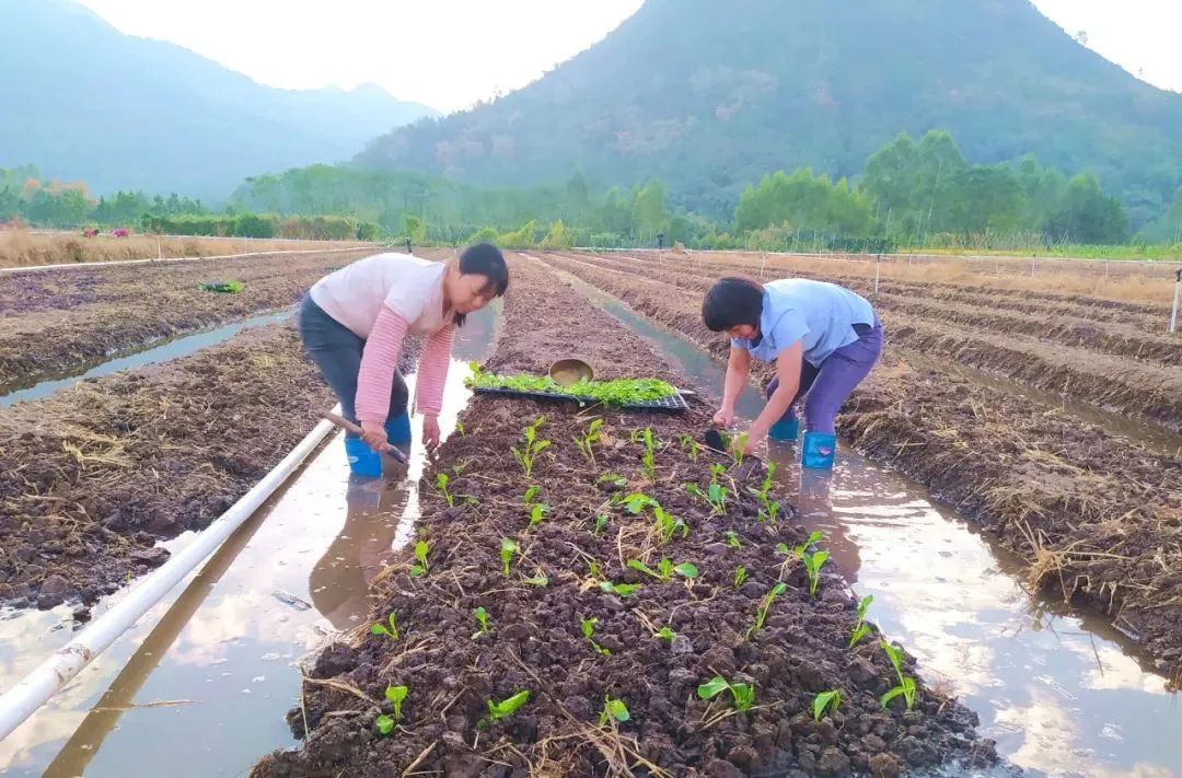 0ca3c828f54b890db8f0bf5e319e467a