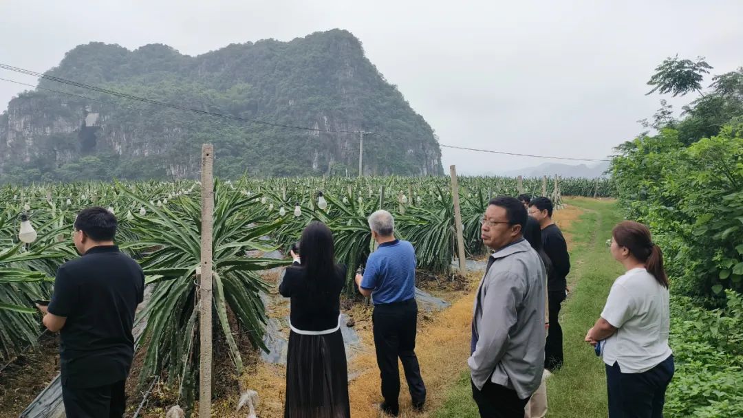 51dde3dafc72c53c88dd656e6c3cb0e4