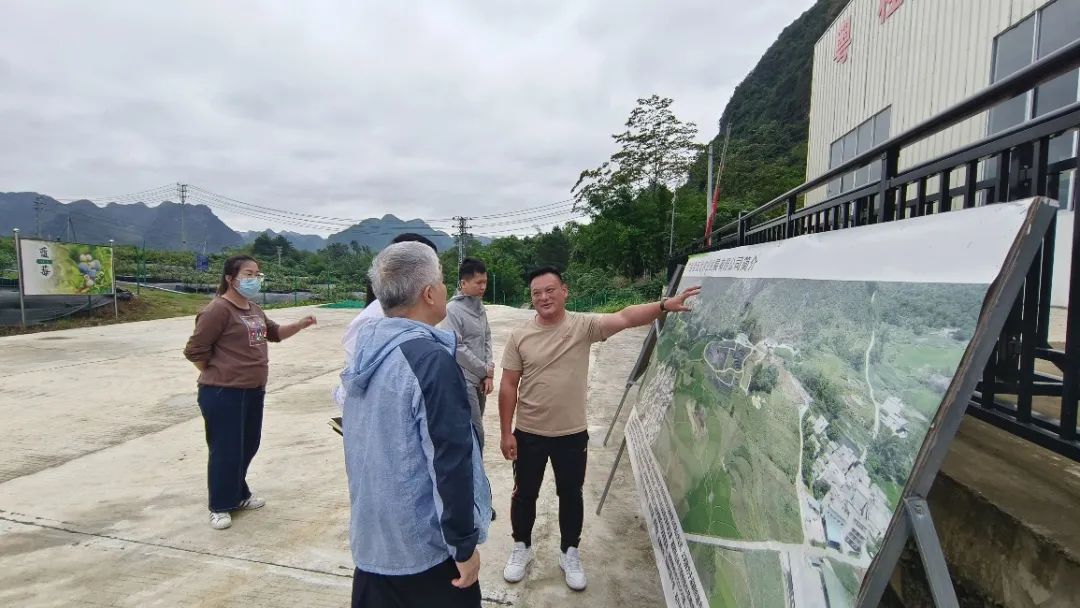 66c2888f436c16ebbbe67680e773a3cf