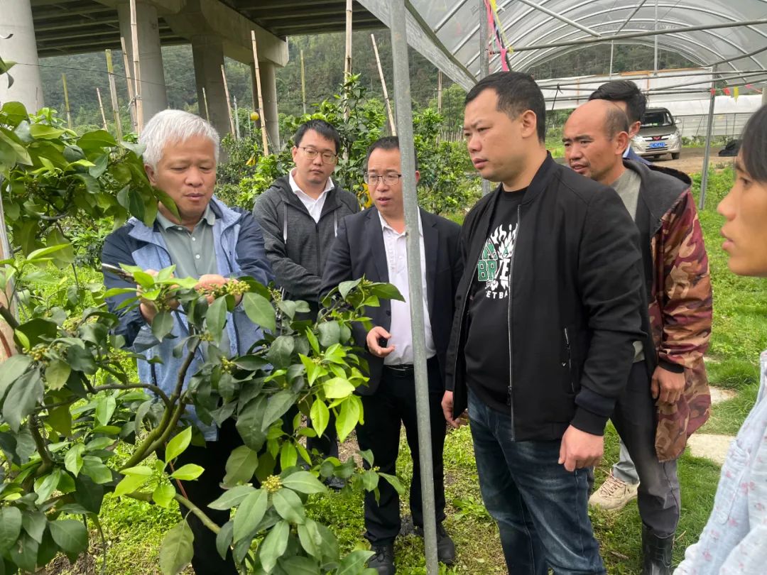 82960ea3787afa9ed0aec0f6f8b00a25