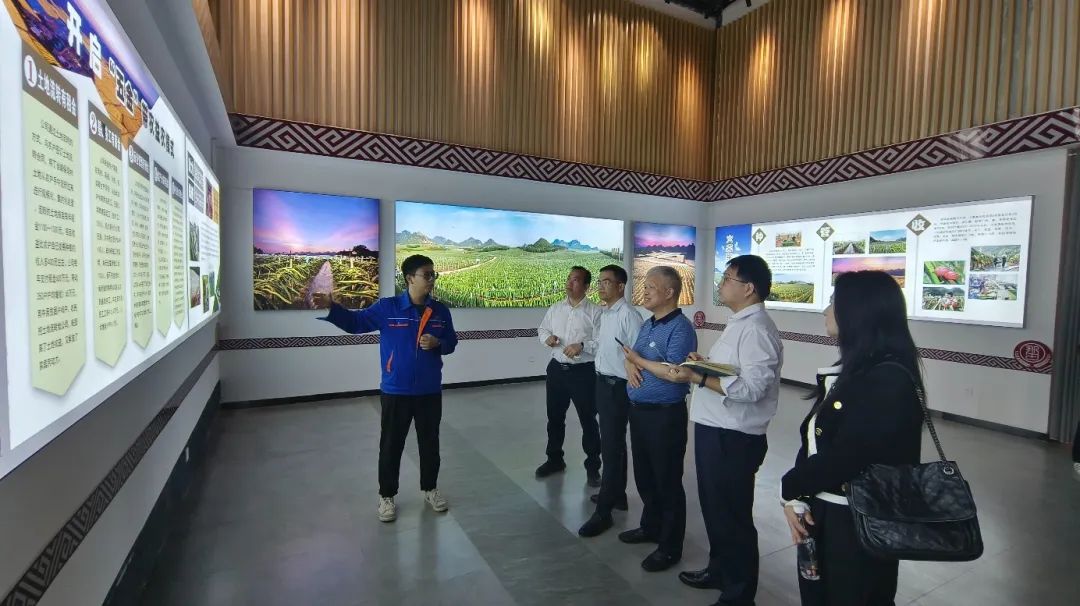 c78d6c53c6cb9d4909d23be09dece4b0