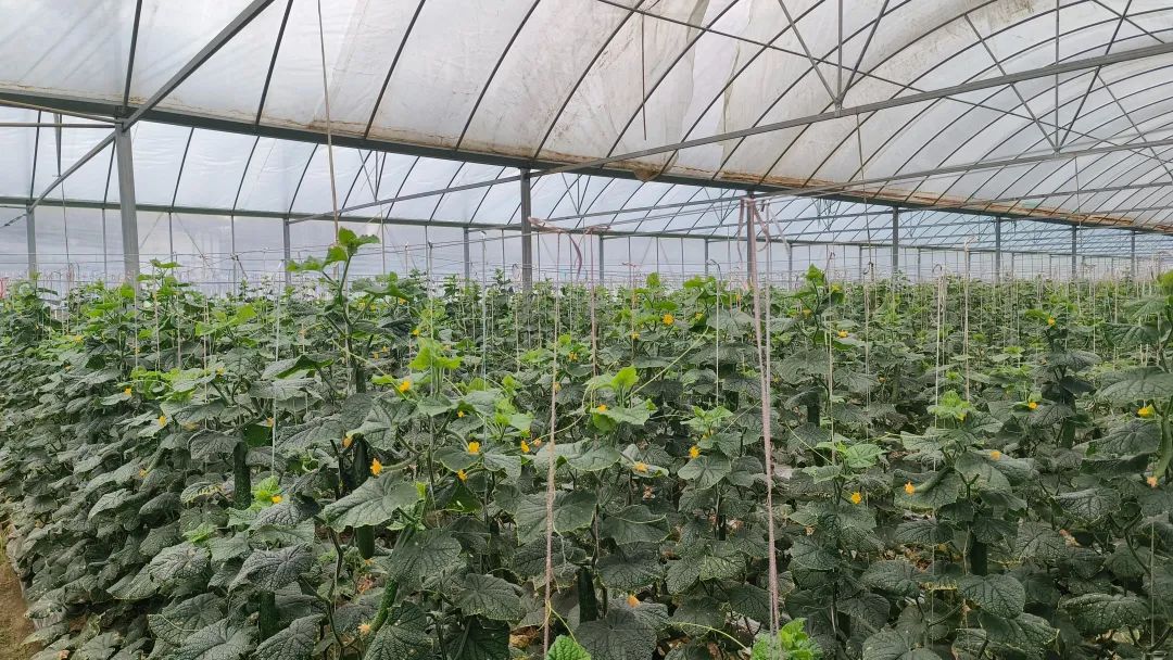 d60d1e3a80ec480db20266bbbc6069d9