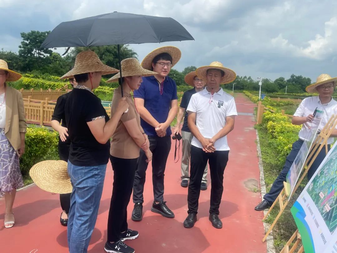 88bfba8b135a956a00edb94171ea07d9