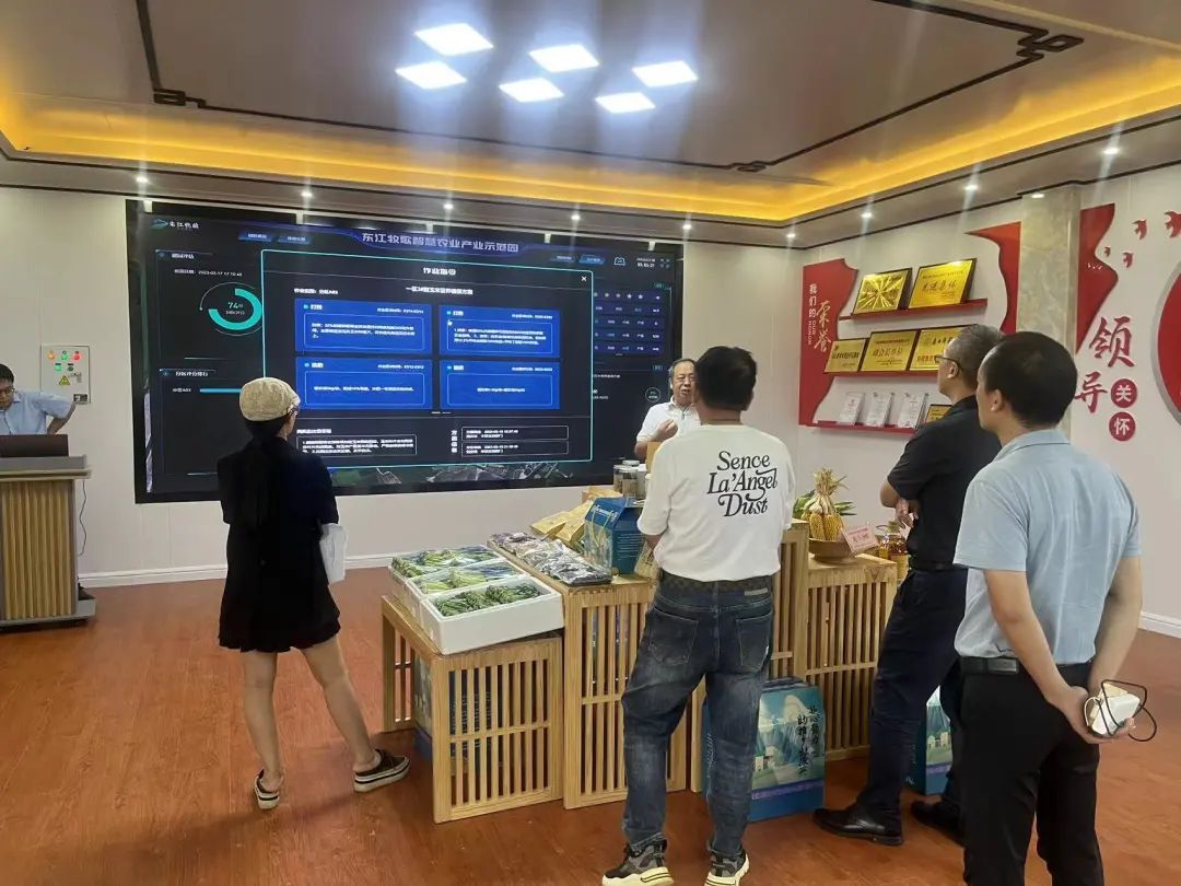 2ed33380aa4e1b2d4b52b7fc2fffd44f