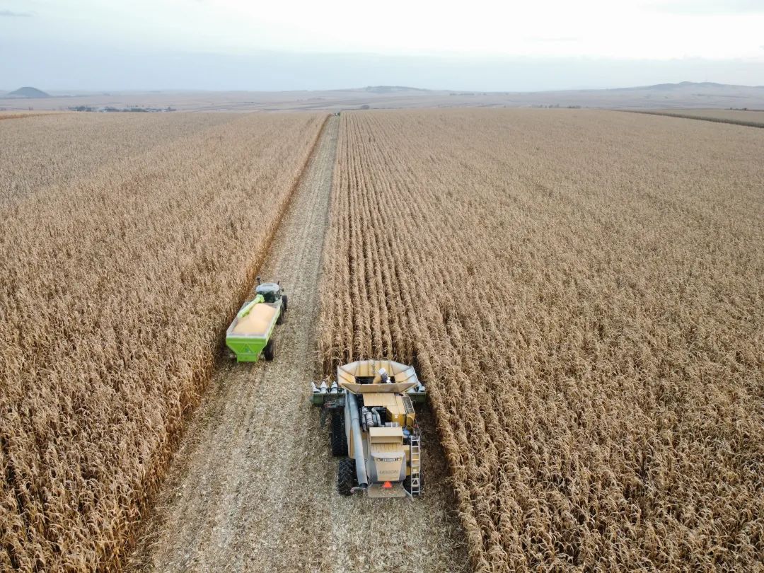 5852f577f6374db760686ecea291635c