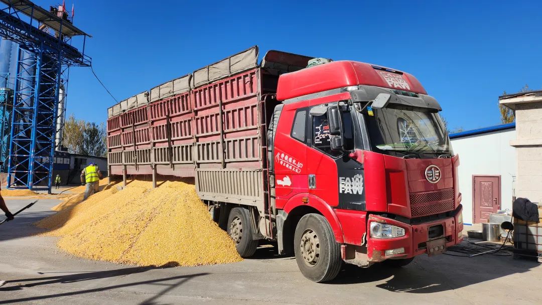 704914d1b4c9b8e80dcd000b461d0ea8