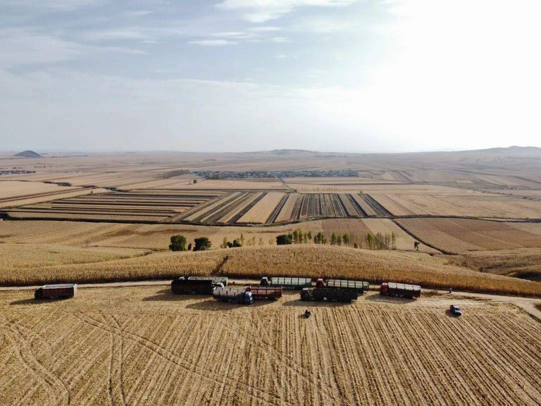 802abb29b8432e43dd39390c4afa2653