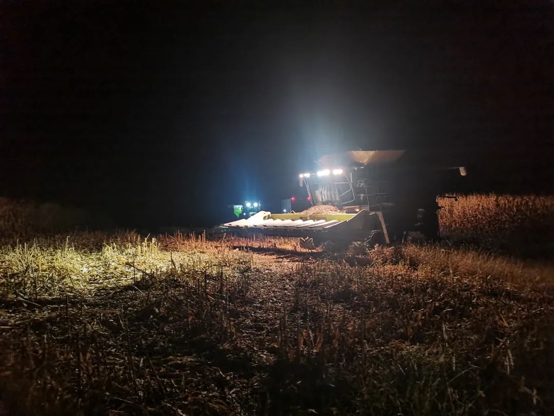 a29c3011d569ed54d9825d3e37a2581c