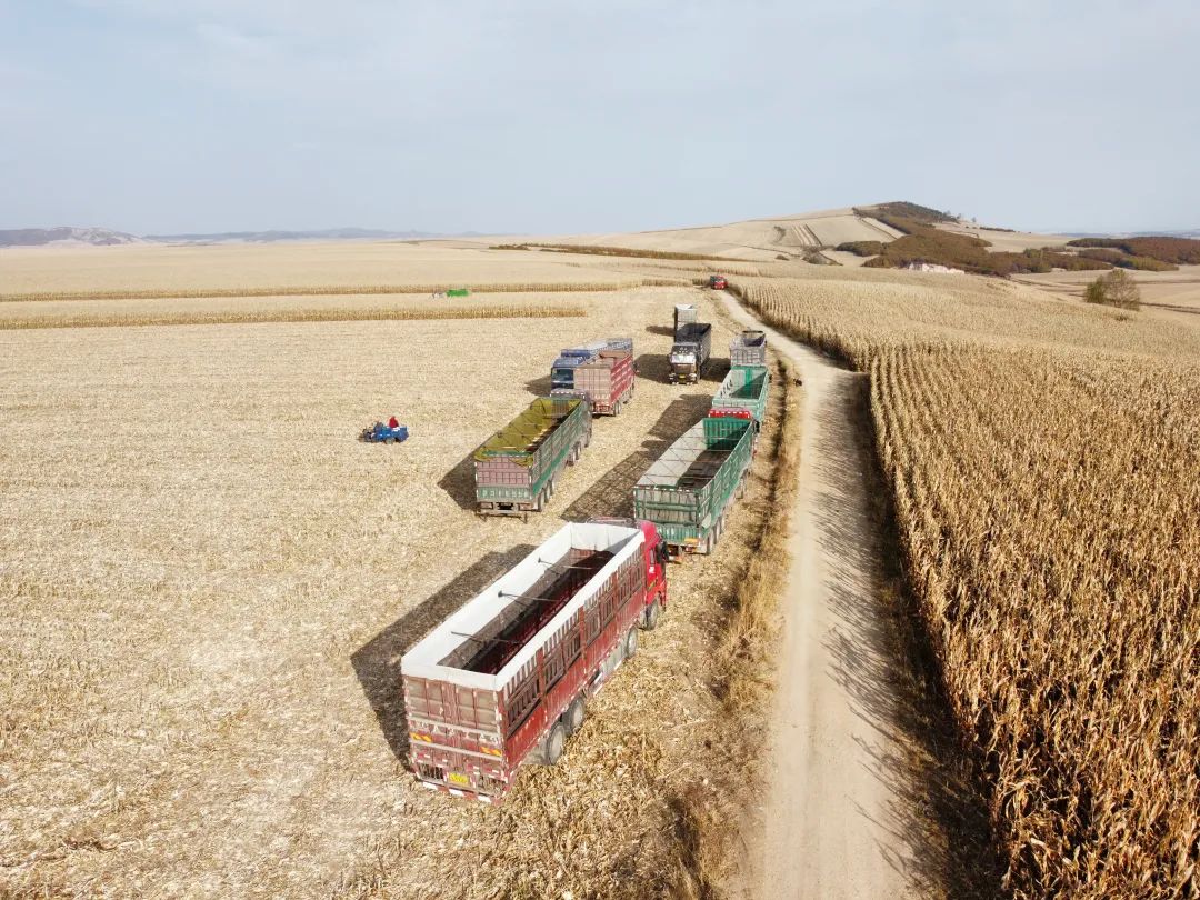 c4cde433e709dd63302549190fc7cb5a