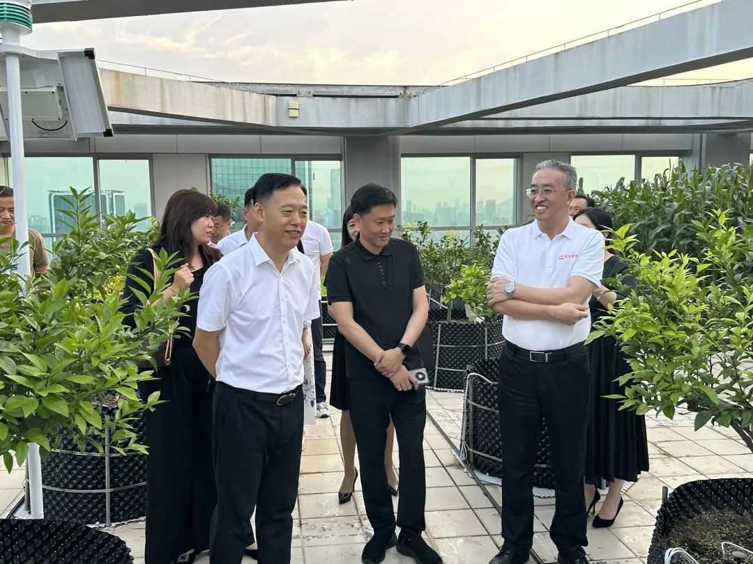 d9fc16e1eb972e2180d9ce937c7f5172