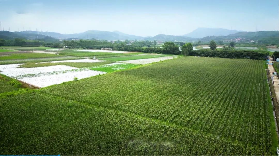 431caf2bb9485c94069b2743317e9a72