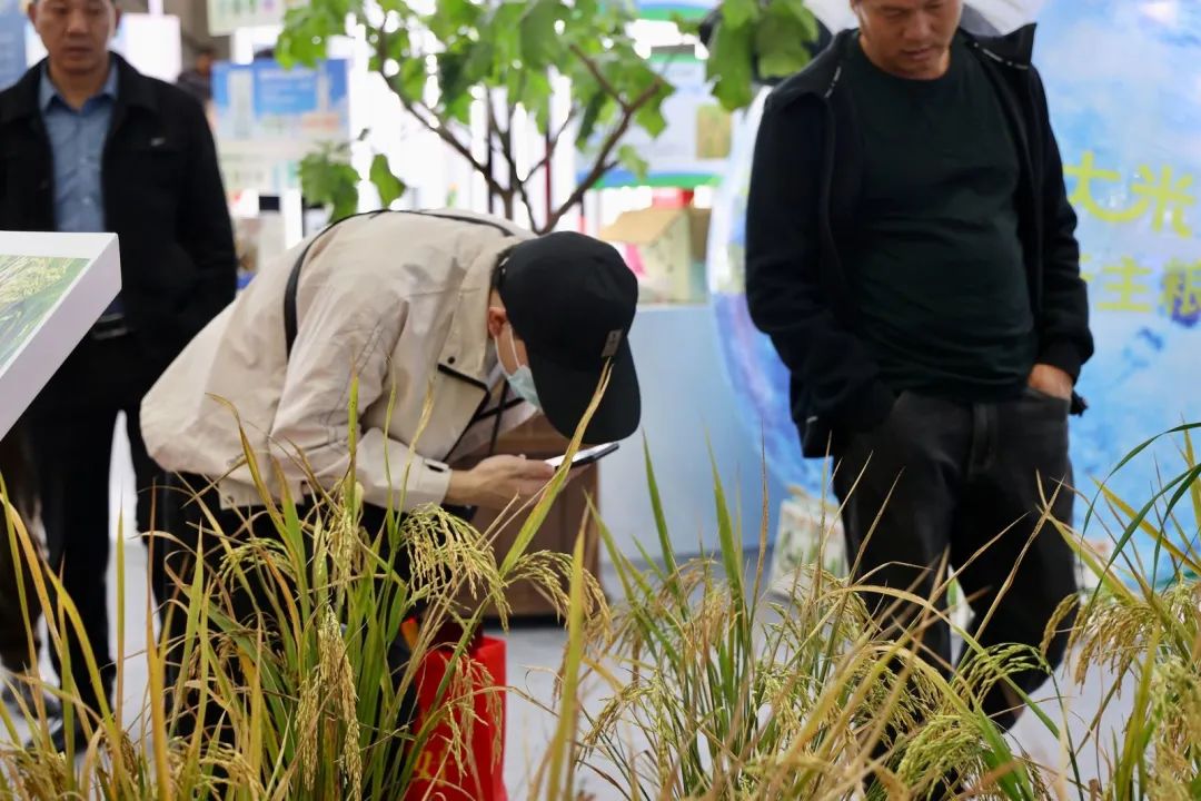 7e832d90fcc118537efbda6bd13a7f24