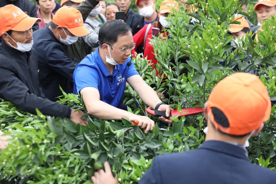 82aa3199228d1ff4ede37a5f78137233