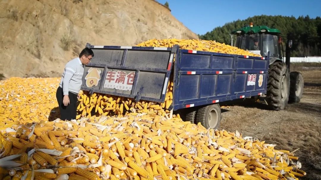 ebbb5076f1f61f460e3ae86b70f2ddd9