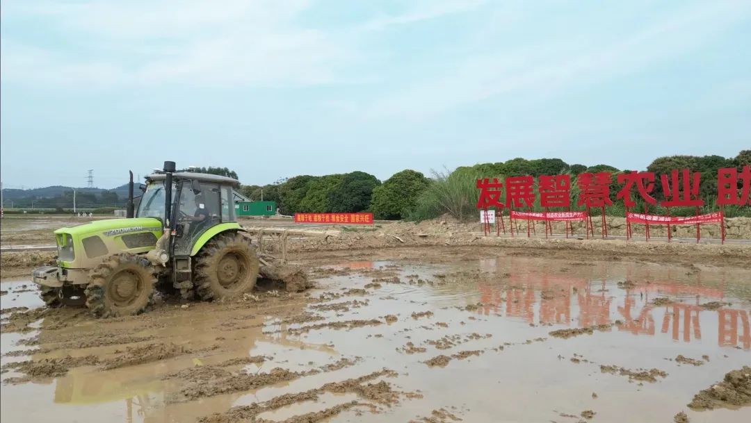 2ff86f69fc67b8c6cadd5175cd7475d1