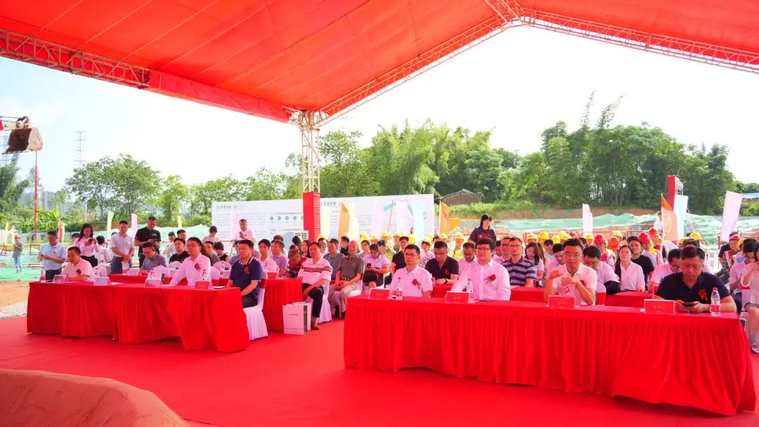 2ba823e4589377f5f80963018cdae978