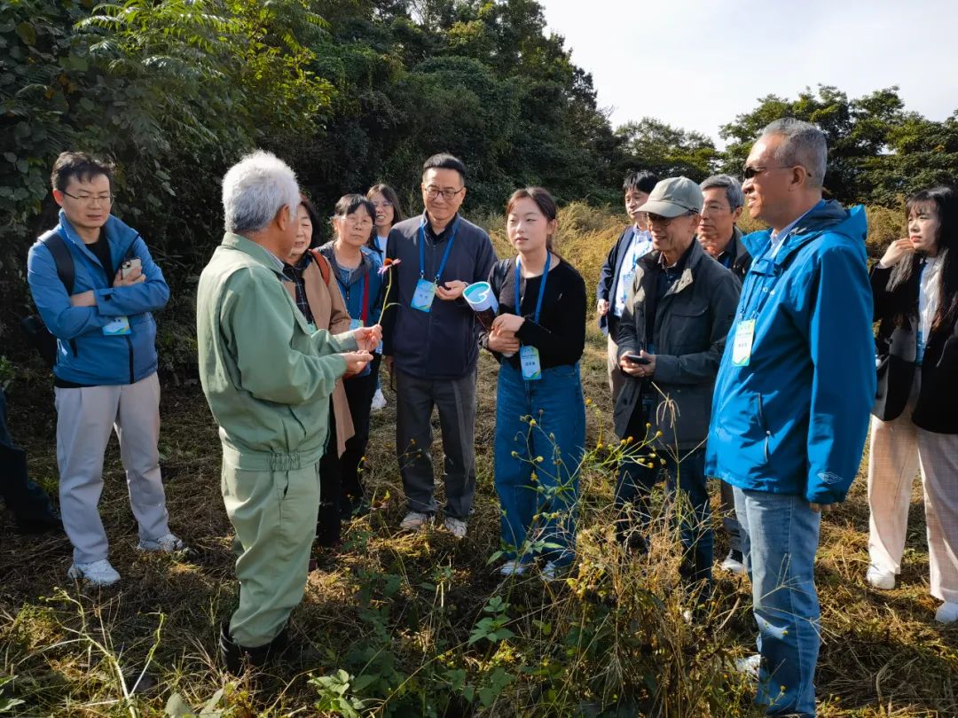 287ac367454020c876721bf2d168940e