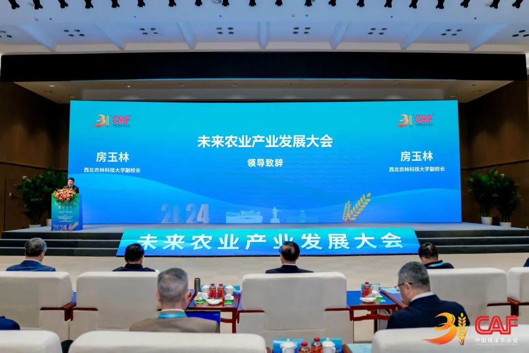 923ead7164fc0885f4f43dd80fe50c15