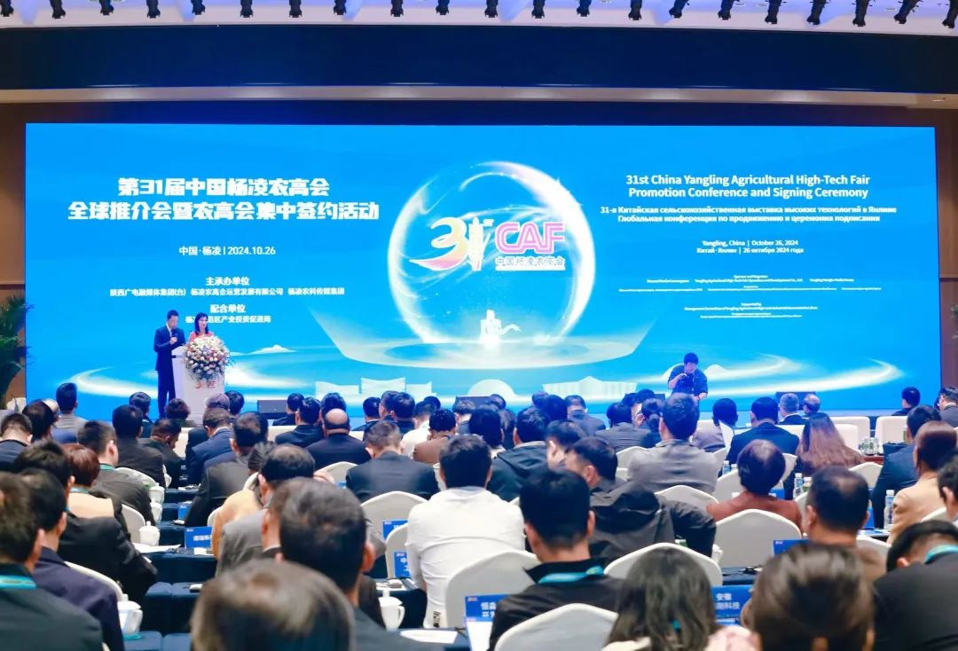 be9698abc257e0560e5719283d14660a