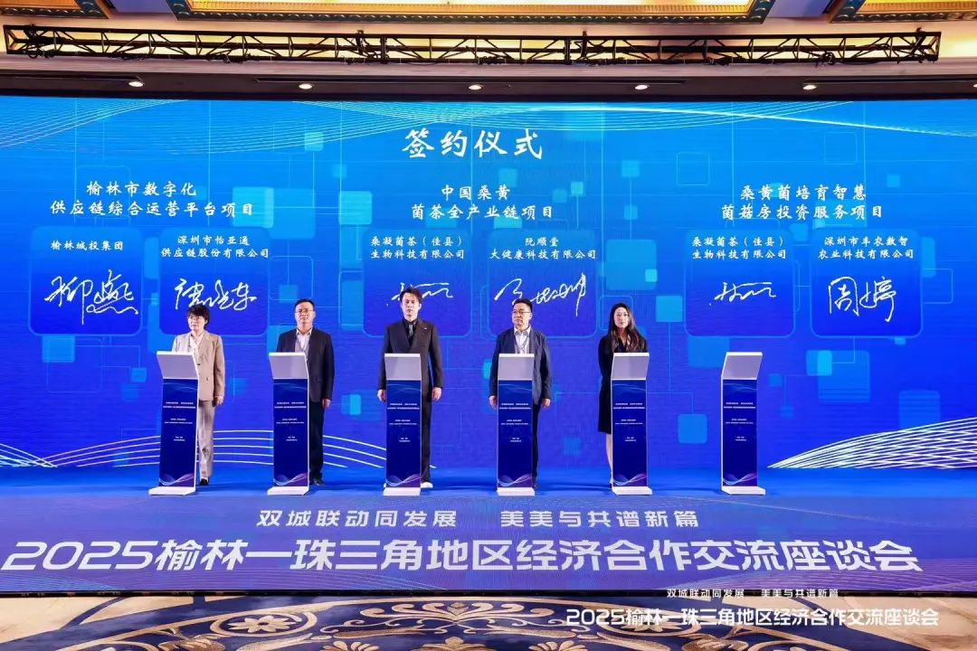 d79e21c533af18f777610221fc7597a8