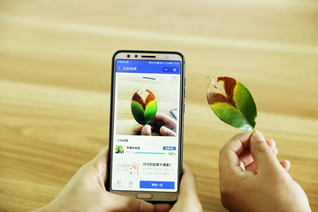 e691d9f2935981562e1d60774e206319