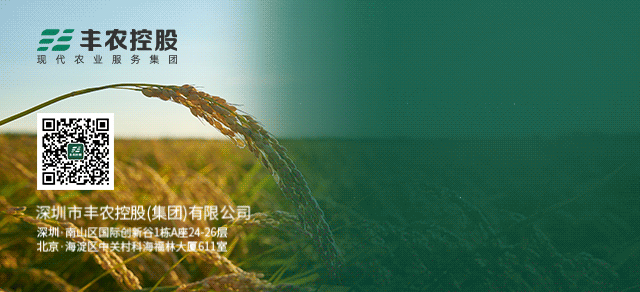 acdf2f0f8d34d4805df2d094b1402bf4