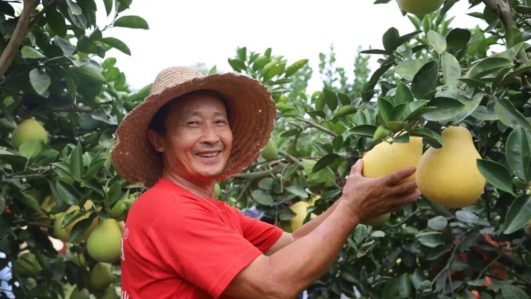 8bc2ea7f6a3f7a84c6b7d6200e6f8cee