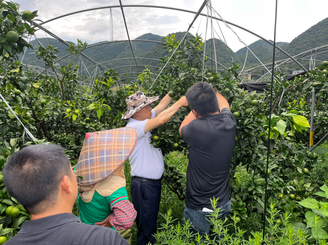 a966294f31af2092eba3f3bf0d29e7bf