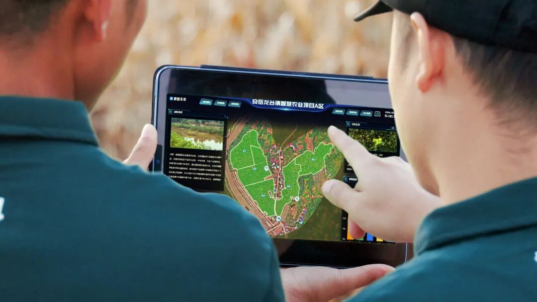 0a9568bfd7454dc679db7da0aae852c1